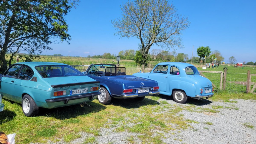 Drei Oldtimer, ein blaues Mercedes-Cabriolet, ein türkisfarbenes Ford-Coupé und ein hellblauer Oldtimer, geparkt auf einer Rasenfläche mit Bäumen und einem Feld im Hintergrund, unter einem klaren blauen Himmel.